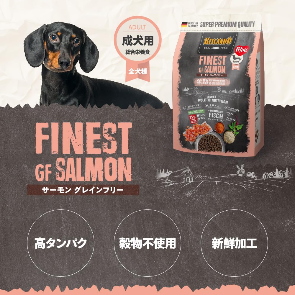 Amazon.co.jp: BELCANDO ベルカンド アダルトサーモングレイン